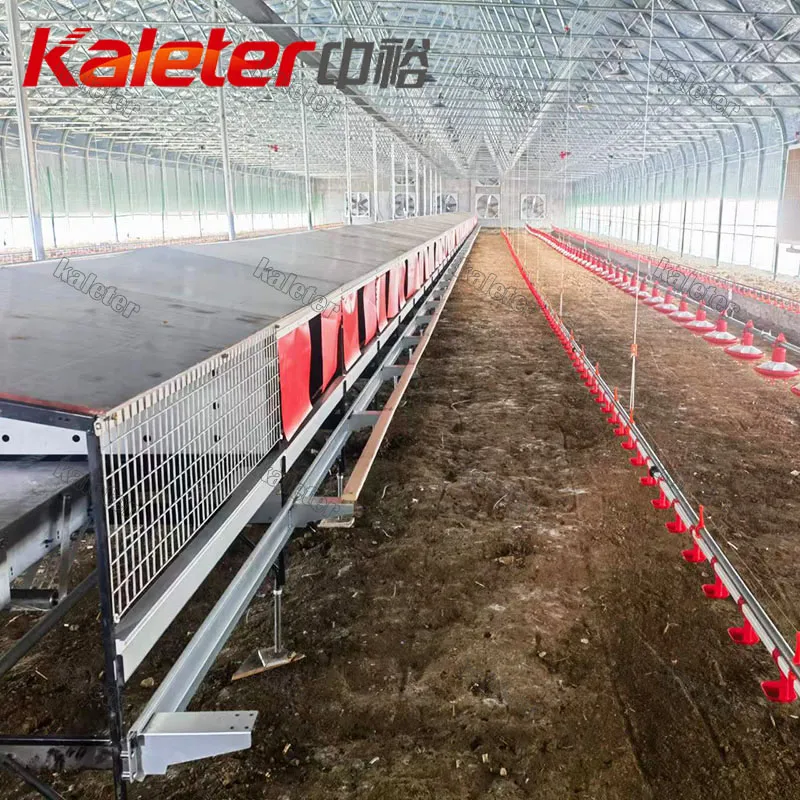 Free Range Pollo Cultivo Laying Coop Nido Automático Colección de aves de corral Cajas de Anidación Roll Away Gallina y Producción de Huevos - Sistema de alimentación de aves de corral de cría - foodmachtech